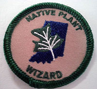 wizard patch