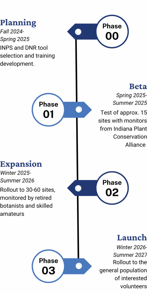 INPS Project Timeline