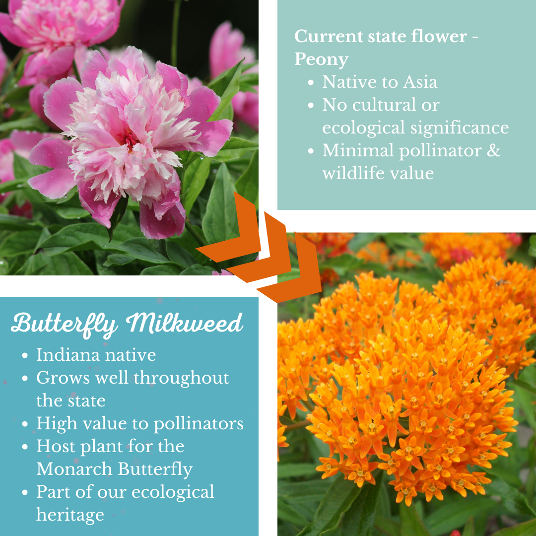 Let's Change the Indiana State Flower! - INPS